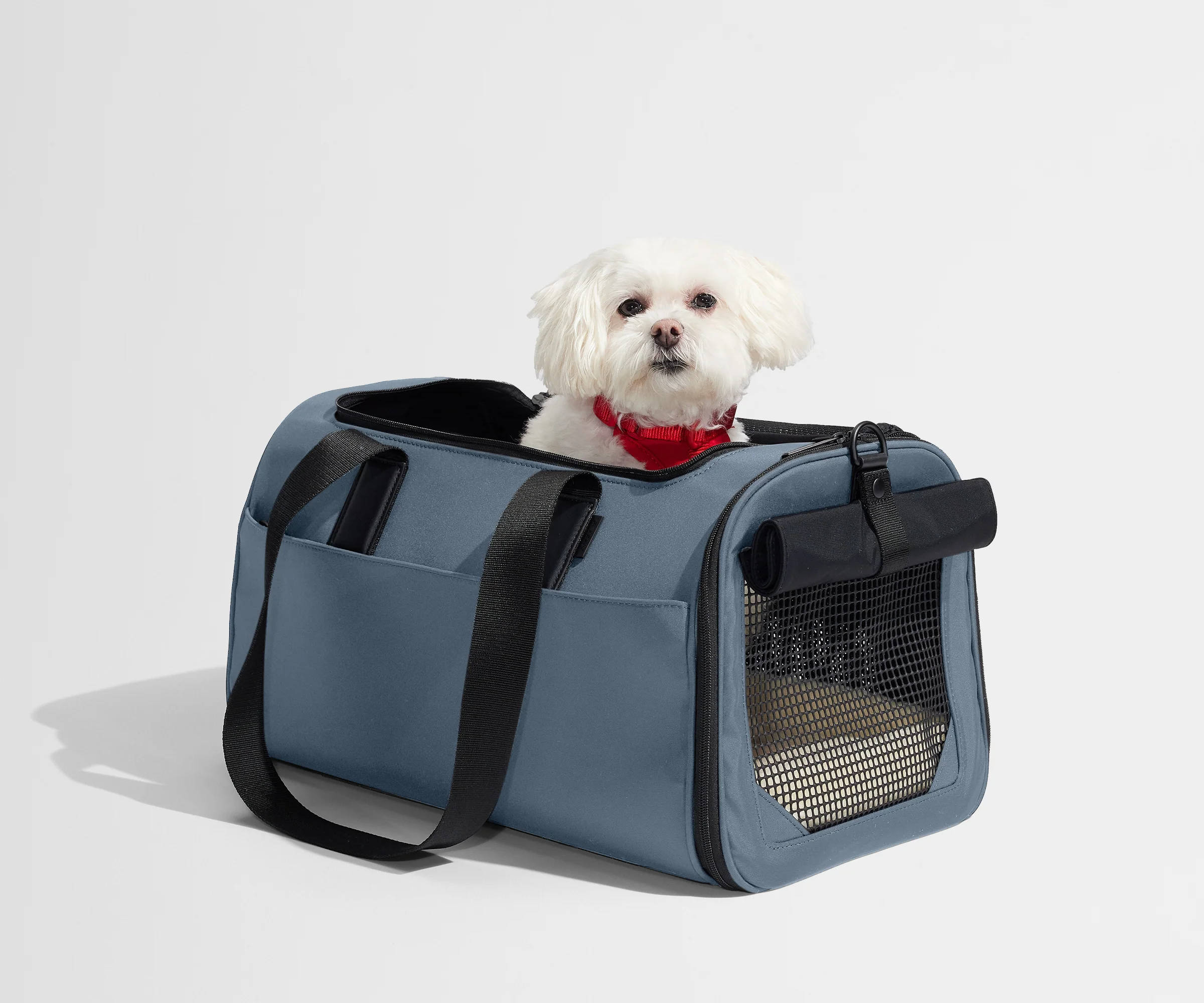 The Pet Carrier in Coast Blue - Image 4