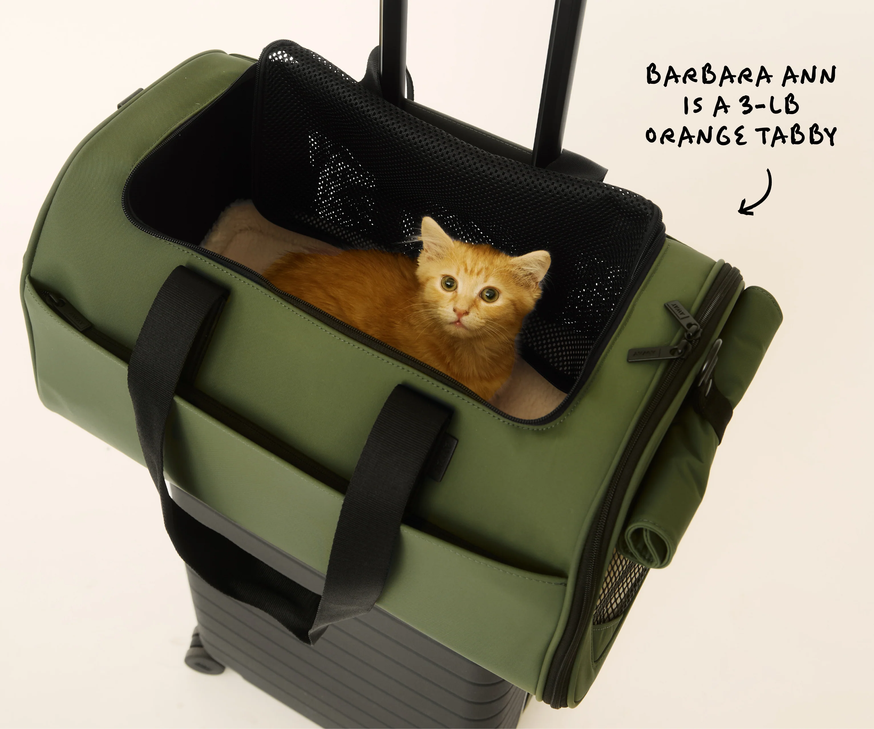 The Pet Carrier in Olive Green - Image 11
